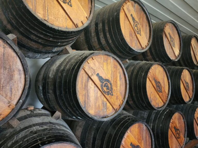 Lisbon: Private All Inclusive Setúbal & Arrábida Wine Tour