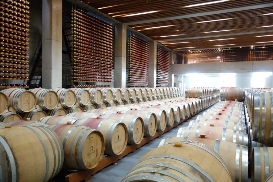 Lisbon Wine Tasting Private Tour - Discovering the Charm of Lisbon’s Wine Country
