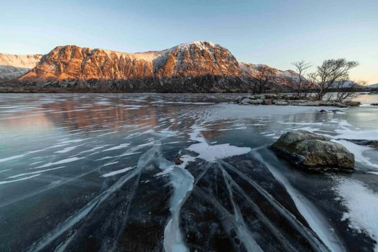 Lofoten: Half-Day Guided Tour with Photo Stops