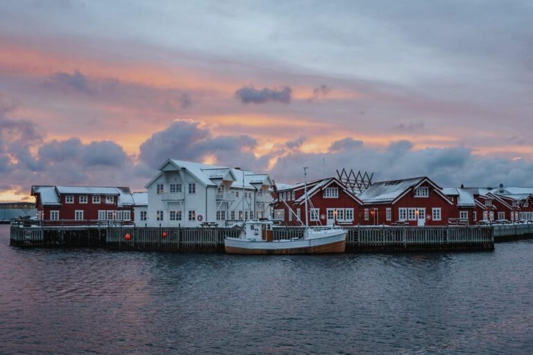 Lofoten Scenic Sightseeing Tour: Half day tour