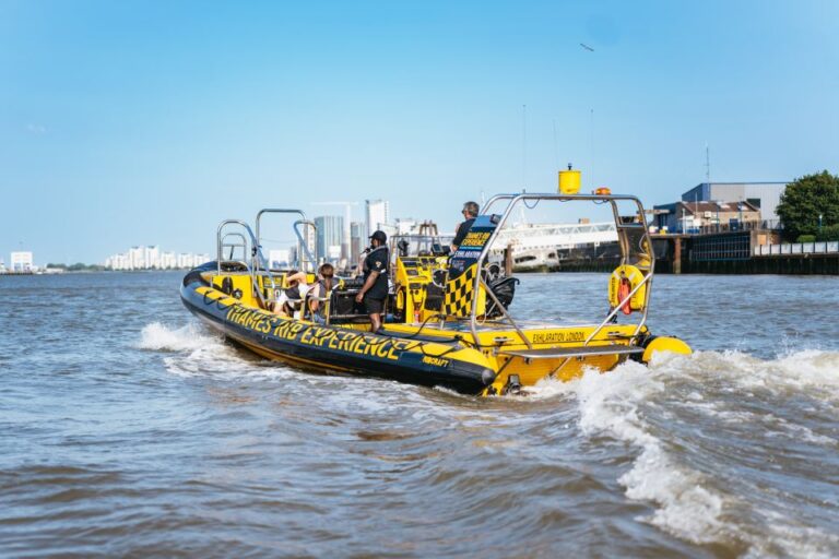London: 45-Minute Speedboat Sightseeing Tour