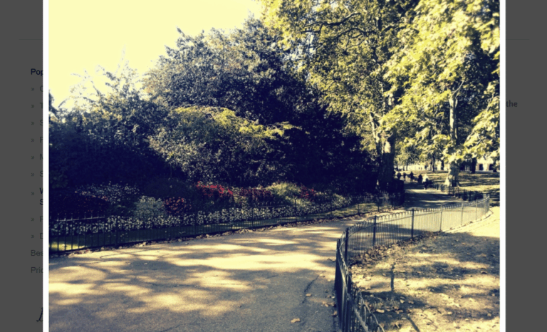 London: Bespoke Whitehall Walking Tour