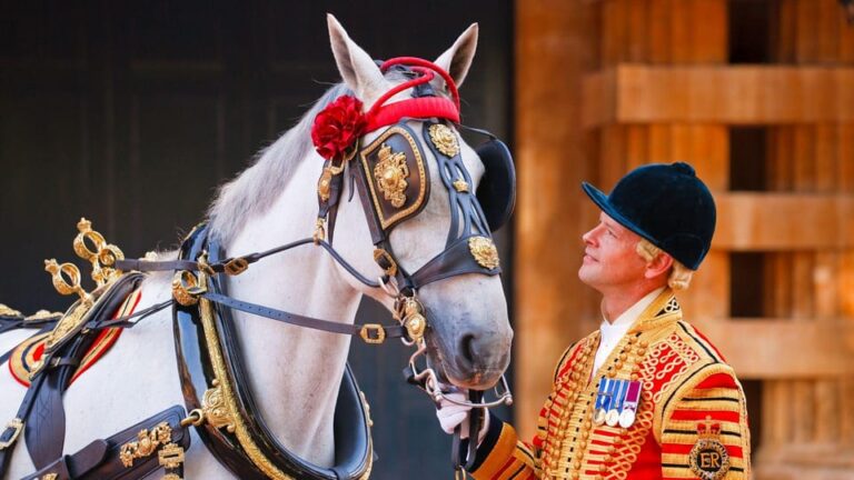 London Highlights Tour & Buckingham Palace Royal Mews Ticket
