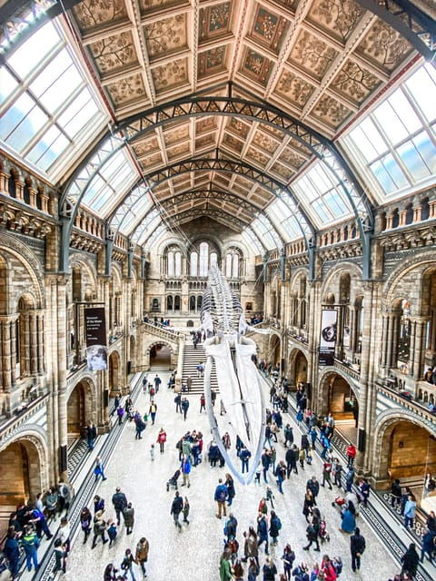London: Natural History Museum Guided Tour - Exploring the Natural History Museum: What to Expect