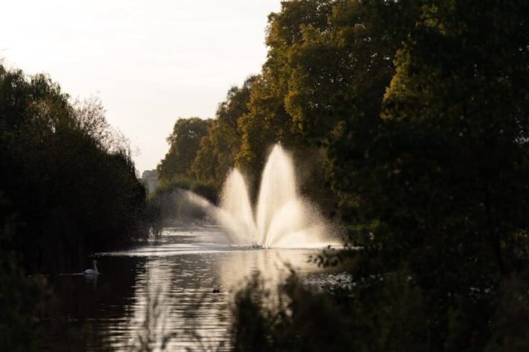 London: Private Royal Walking Tour with a Local Guide