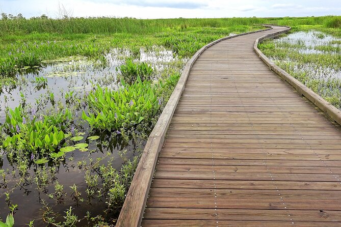 Louisiana Creole Nature Trail Self-Guided Audio Driving Tour - Why Choose the Louisiana Creole Nature Trail Self-Guided Audio Tour?