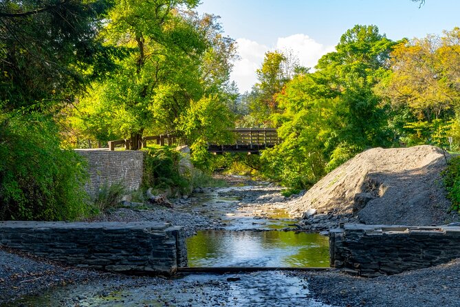 Love Struck Strolls: Ithacas Romantic Walk