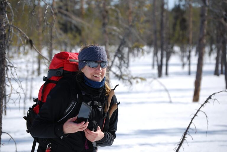 Luleå: Nordic Touring Skiing Adventure