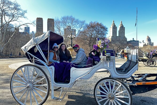 Luxury Horse and Carriage Tours in Central Park - An In-Depth Look at the Tour Experience