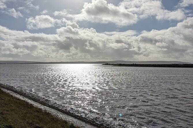 Lymington Wildlife Discovery Walk - Dive into the Details: What You Can Expect from the Lymington Wildlife Discovery Walk