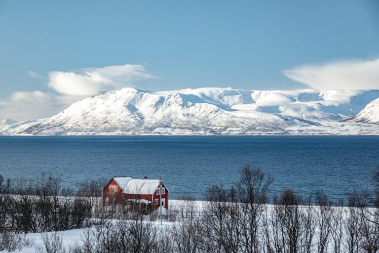 Lyngen: Snowmobile Safari with Lunch in seaside Restaurant