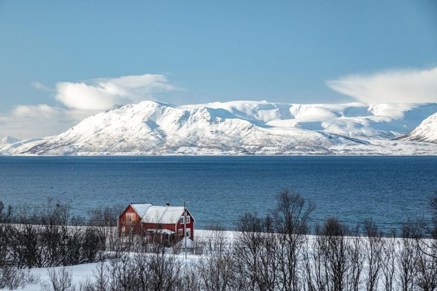 Lyngen: Snowmobile Safari with Lunch in seaside Restaurant - An In-Depth Look at the Lyngen Snowmobile Safari Experience