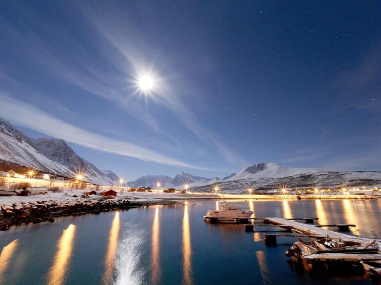 Lyngenalps: Northern Lights Snowmobile Safari