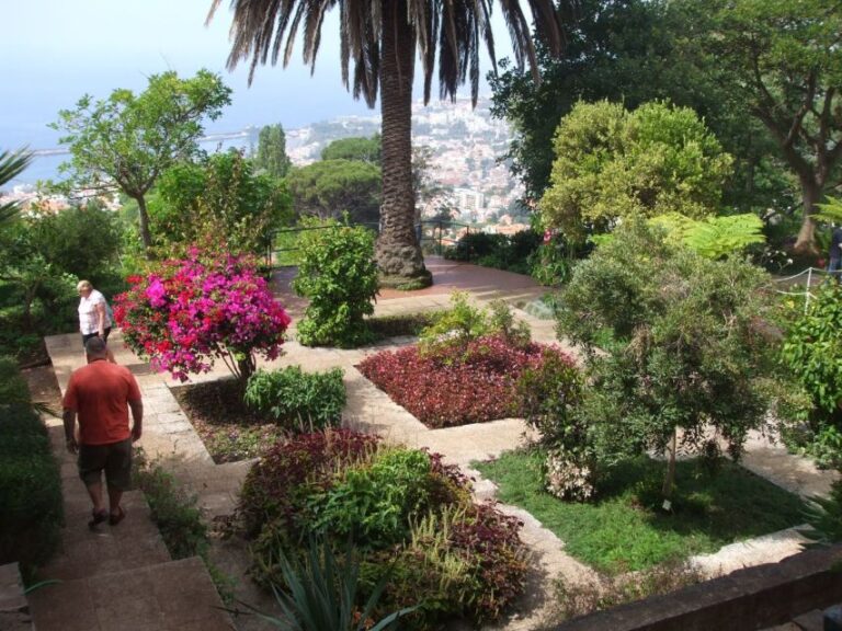 Madeira: Botanical Garden in a Tuk-Tuk Tour