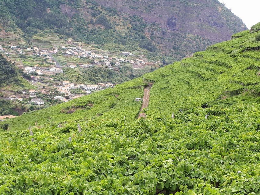 Madeira: Cabo Girão, Wine Tasting, & Serra d'Água Jeep Tour - An In-Depth Look at the Tour Experience