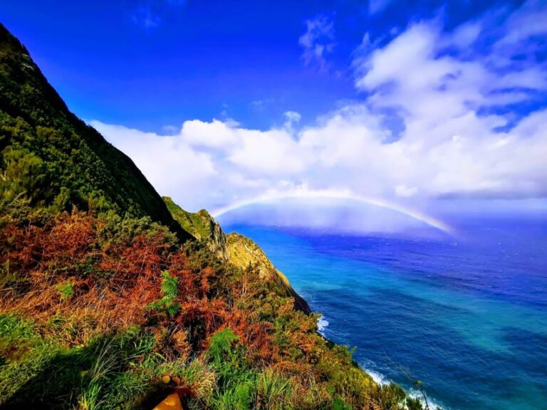 Madeira E-Buggy Adventure: 4×4 thrill & epic views! Book now