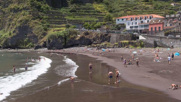 Madeira: Fanal and Seixal Beach Guided Tour