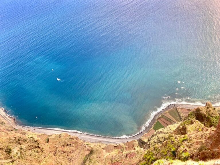 Madeira: Fanal Forest and Cabo Girão for Cruise Ship