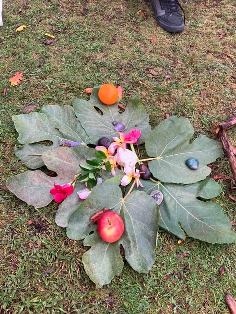 Madeira: Fanal Forest Tree Connection Ceremony & Picnic - Final Thoughts