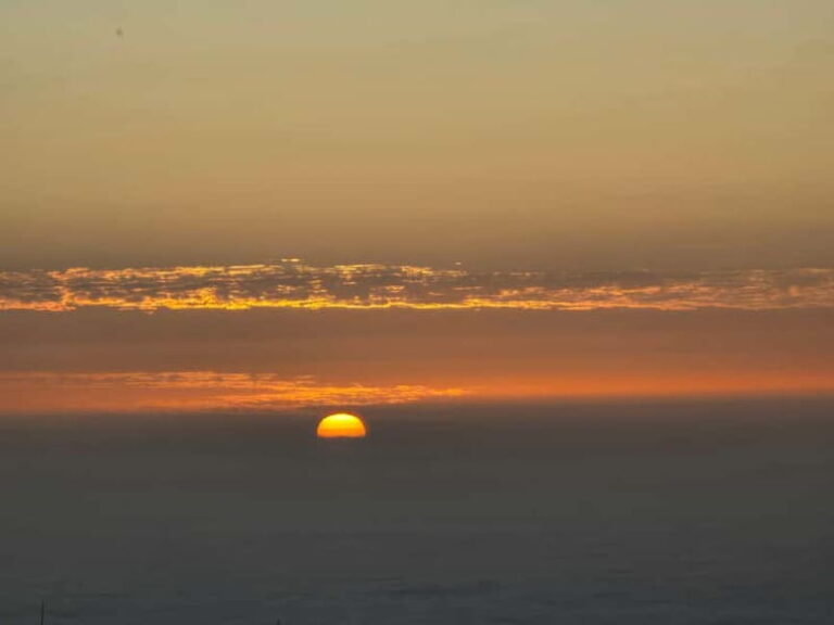 Madeira: full day private tour (maximum 6 people)