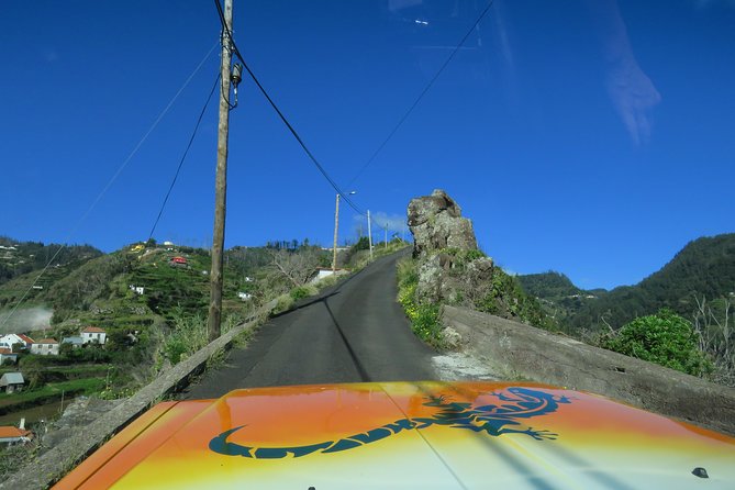 Madeira Highlights: Guided 4-Hour Tour from Funchal