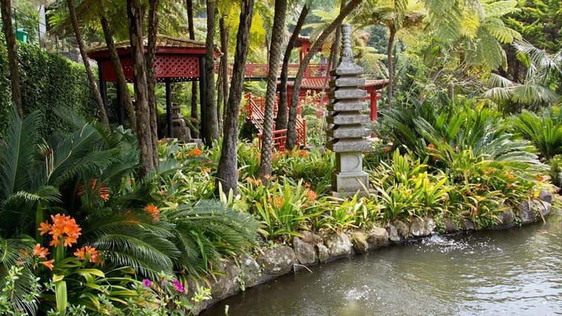 Madeira: Monte Tropical Gardens + Old Town Tuk Tuk by MadTuk - Exploring Madeira’s Scenic Highlights in a Tuk-Tuk  