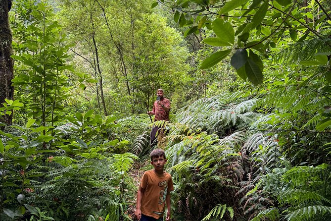 Madeira Off-Road 4×4 Jeep Adventure Private Full day Tour