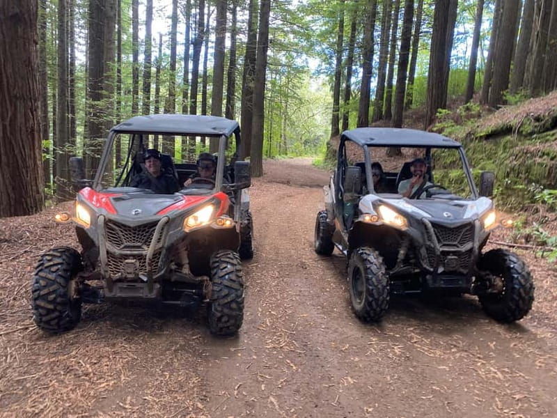Madeira: Off-Road Buggy Driving Experience - Good To Know