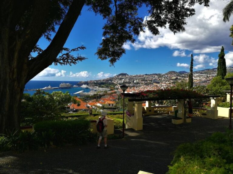 Madeira: Private Funchal City Tour in a Tukxi