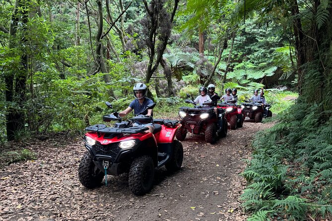 Madeira Private Off-road Quad Bike Experience - What to Expect on This Madeira Quad Bike Tour