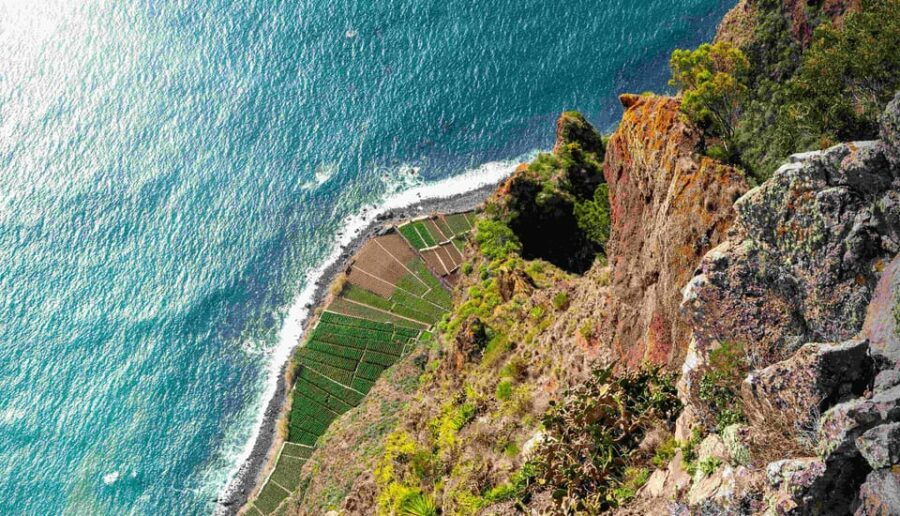 Madeira South Tour: Cabo Girão, Waterfalls for Cruise Ship - Explore Madeira’s Southern Charm and Spectacular Views