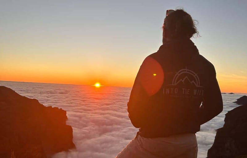 Madeira: Sunrise Experience and Hike with Guide & Pickup - An In-Depth Look at the Madeira Sunrise & Hike Tour