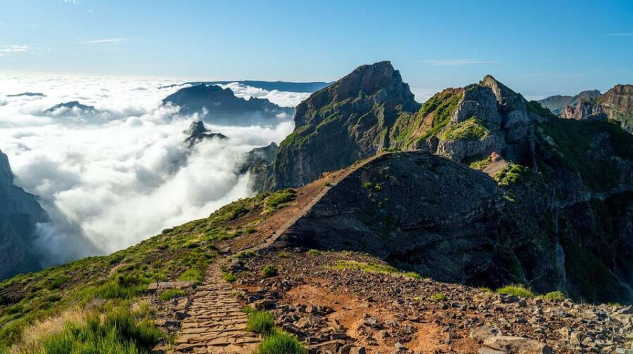 Madeira: Sunrise Tour with Hotel Pickup - Good To Know