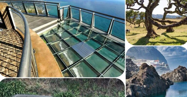 Madeira: West Tour With Guide Fanal Forest SykWalkExperience