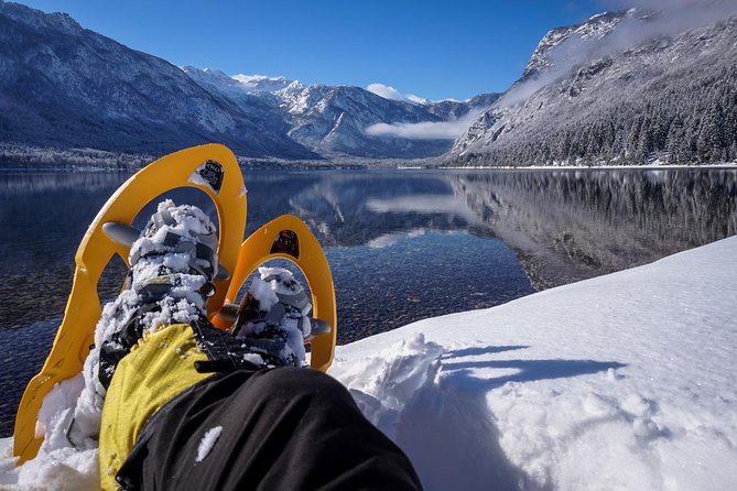 Magical Snowshoeing in Bohinj valley