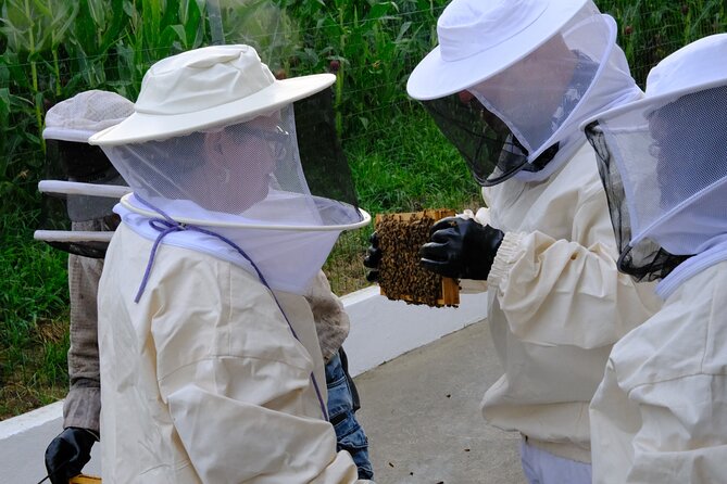 Magical World of Beekeeping on São Miguel Azores Private Tour