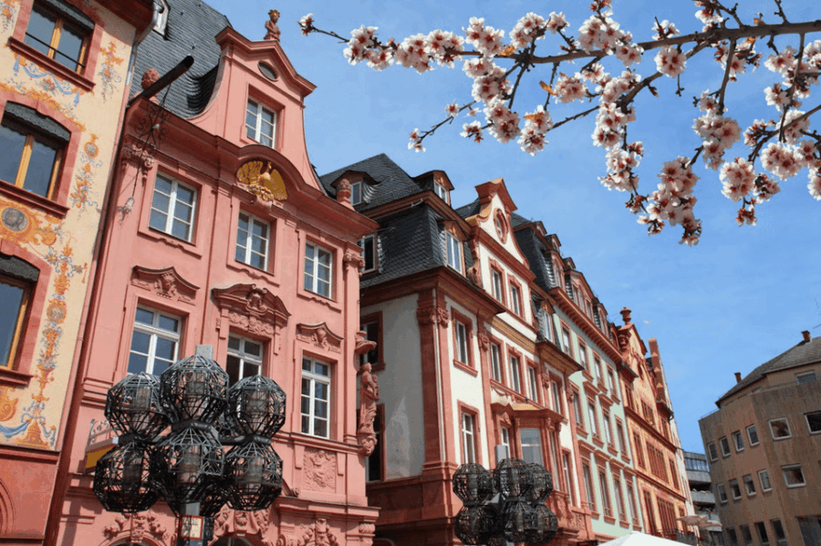 Mainz Guided Visit - Exploring Mainz’s Rich Past in Just Two Hours