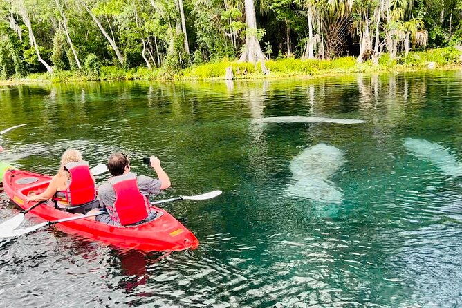 Manatees, Monkeys and Florida Natural Spring Adventure Tour - An In-Depth Look at the Tour Experience