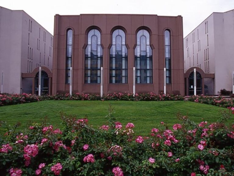 Mannheim, guided costume tour: Hangmen, Witches, Huguenots