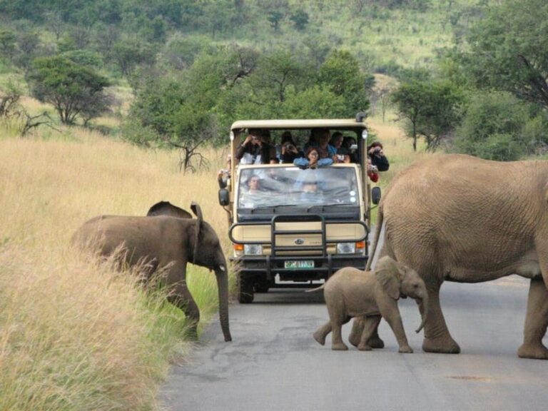 Manyane: 6HGame Drive with Lunch
