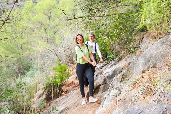 Marbella Guided Hiking and Foraging Adventure - Exploring Marbella’s Natural Beauty