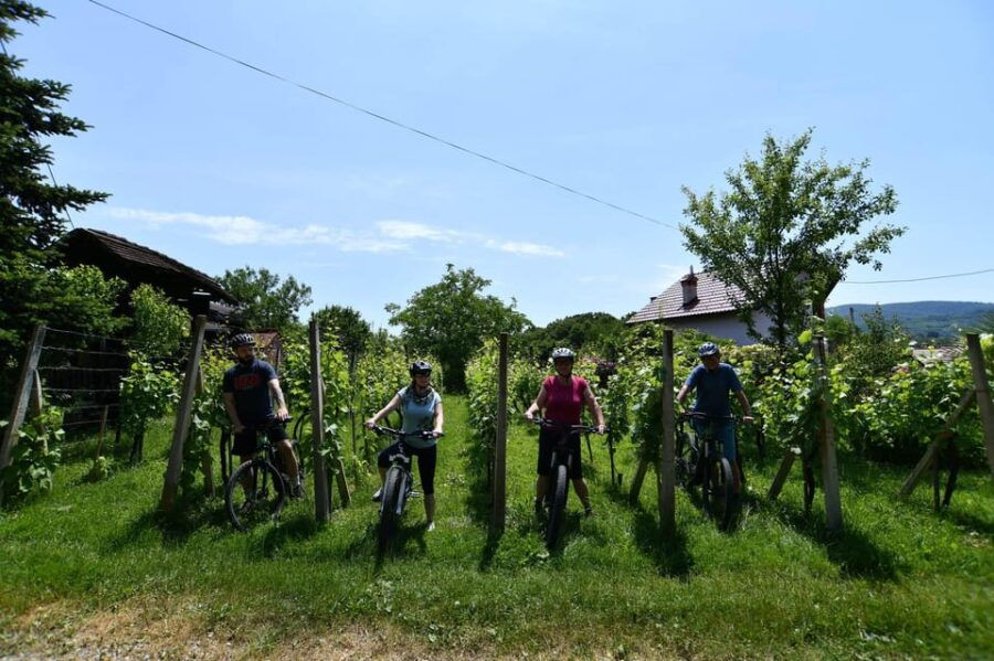 Marija Bistrica: Experience of cycling on country roads - Why This Tour Offers Great Value