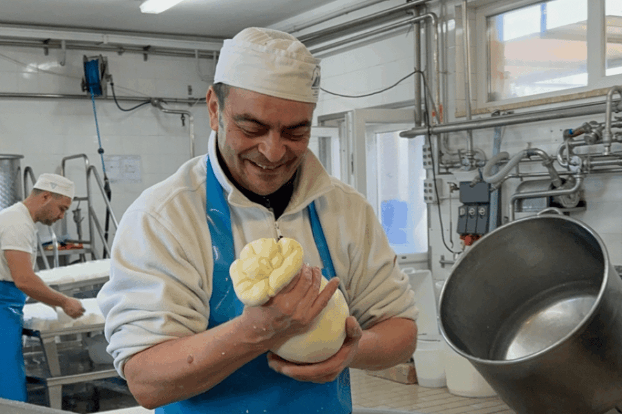 Martina Franca: Mozzarella and Pasta Workshop with Farm Tour - Introduction to the Martina Franca Mozzarella and Pasta Tour
