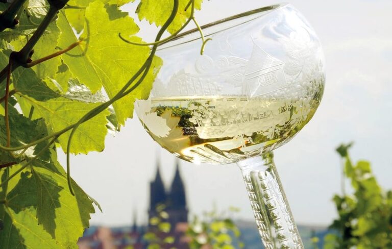 Meissen: Wine hike to the Rothes Gut winery including 3-person wine tasting