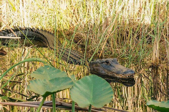 Miami Discovery Tour: 2-Days Hop-On Hop-Off Explore Your Way