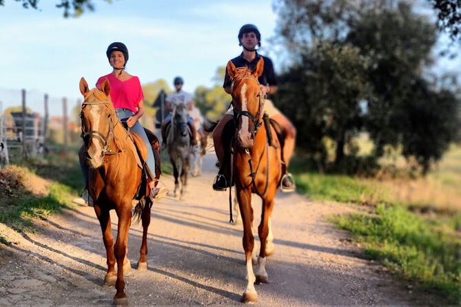 Middle day out of Rome on Horseback with meals included - Exploring the Itinerary in Detail