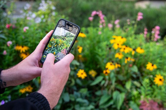 Mindful Photo Walk at Princess Pavilion & Gyllyngdune Gardens