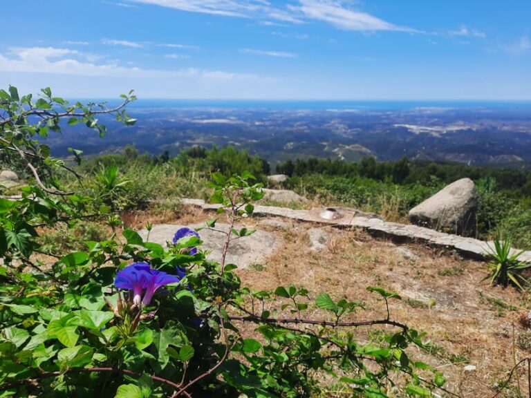 Monchique & Silves: guided day trip