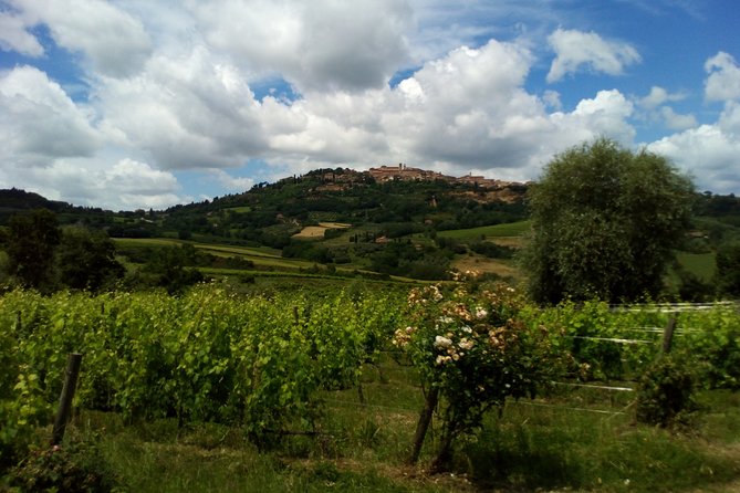 Montalcino and Pienza Tuscany Wine&Cheese ShoreExcursion from Civitavecchia Port