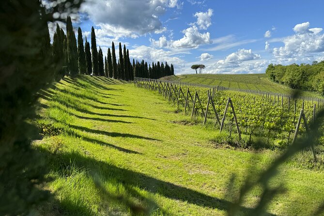 MONTALCINO Essence: Your PRIVAT E-Bike Experience, Top Quality!
